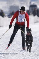 Lenk 2013